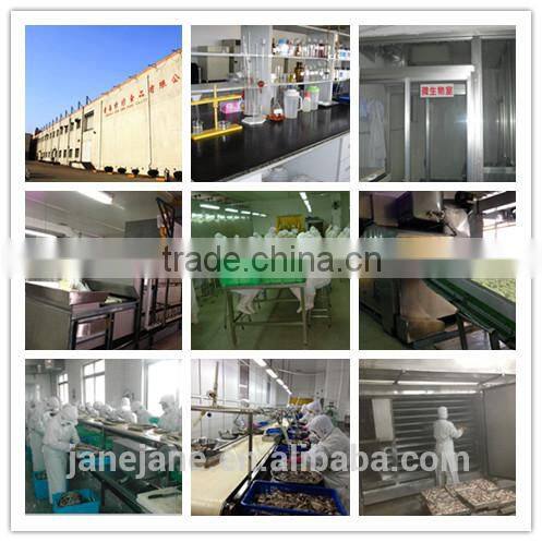 Frozen Simulated Lobster Ball