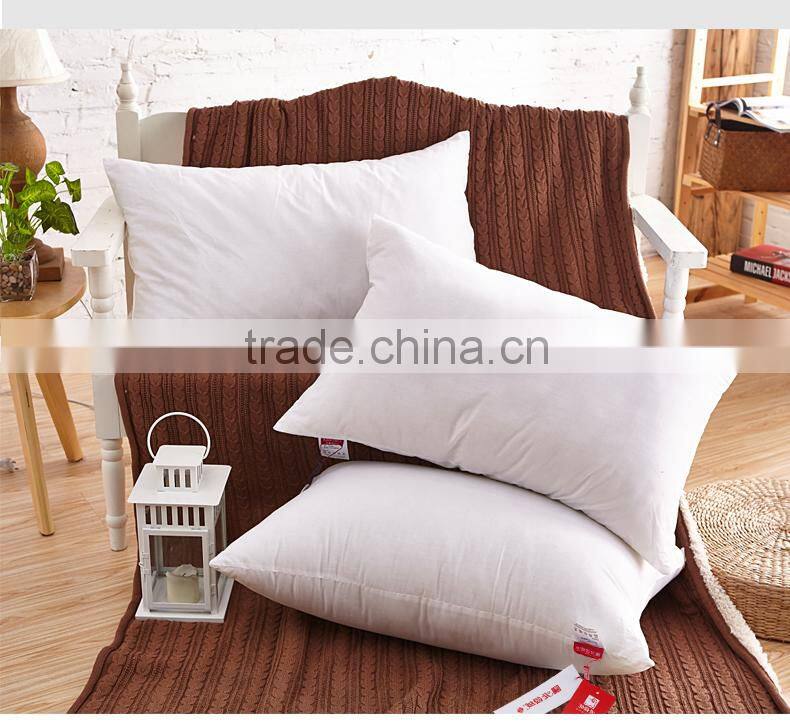 Wholesale White Cotton Silk Pillow For Hotel