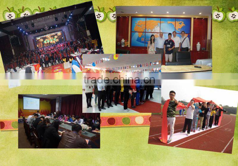 outdoor double side banner