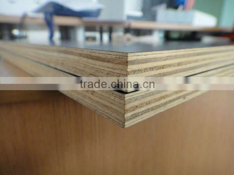 15mm thick plywood sheet/15mm poplar plywood