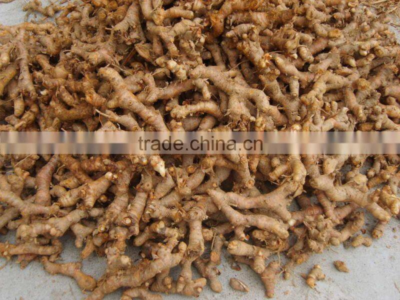 Chinese spices of galangal white poly bag