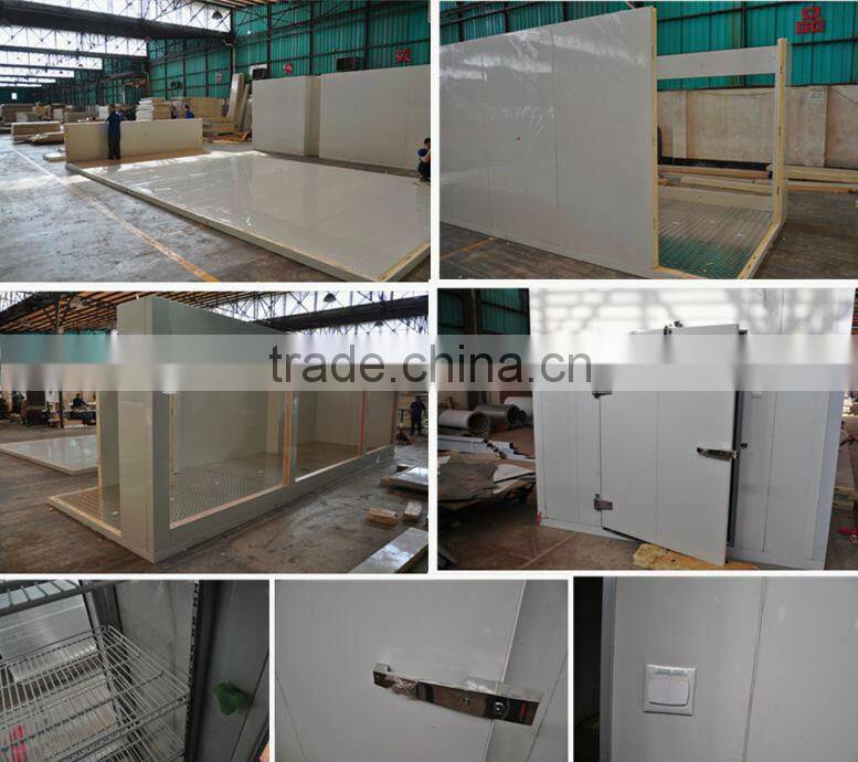 Zanottic Ceiling mounted Monoblock Condensing Unit