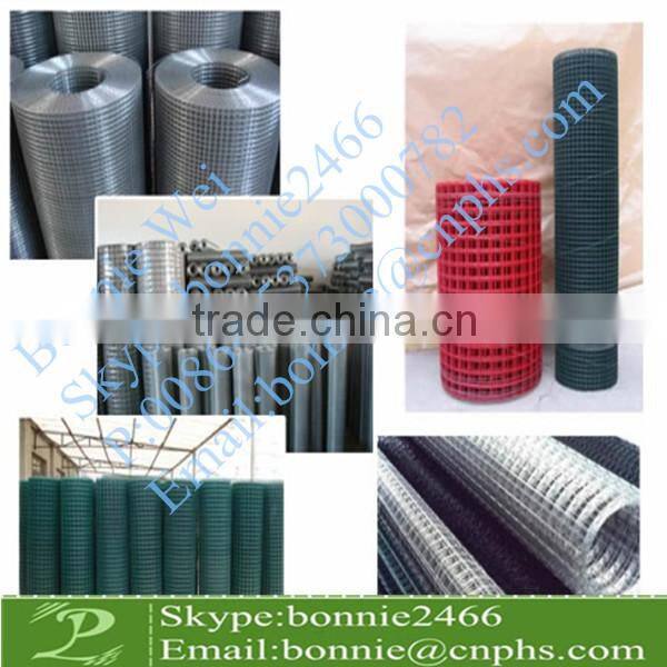 galvanized Chain link fence(factory & trader)