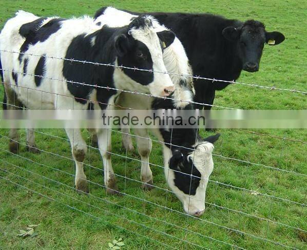 High Tensile Galvanized Cattle Horse Mesh Fence