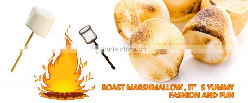 Vanillia Flavour BBQ White Roasted Marshmallow