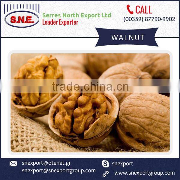 High Quality Walnuts with Shell and Without Shell at Cheap Rate
