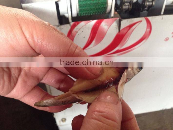 Commercial fish drying killing machine