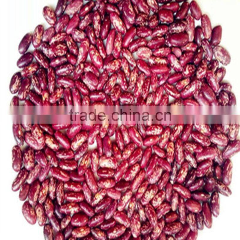 JSX peeled sugar beans export food grade wholesale price best beans