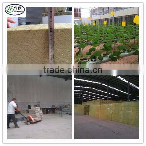 rockwool cubes for germination /plant propagation