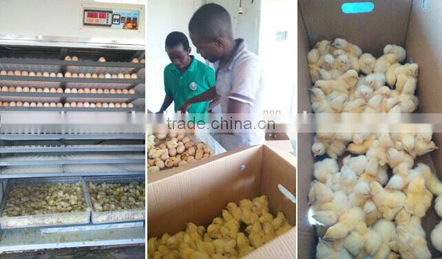 6336 chicken eggs fully automatic egg incubator and hatcher china