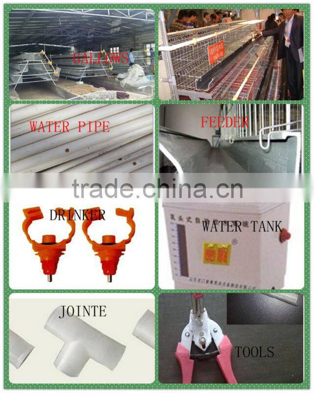 farm chicken egg incubation equipment as cage
