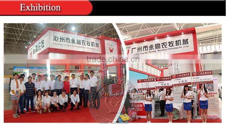 hign quality animal tracking plastic large size ear tag for cattle