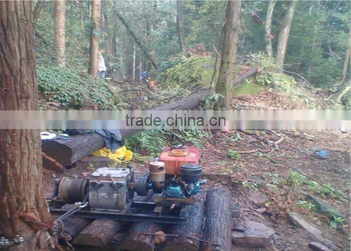 3 Ton Gasoline Powered Reduction Gear Winch