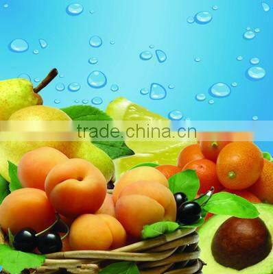 hot sale electro passenger tricycle