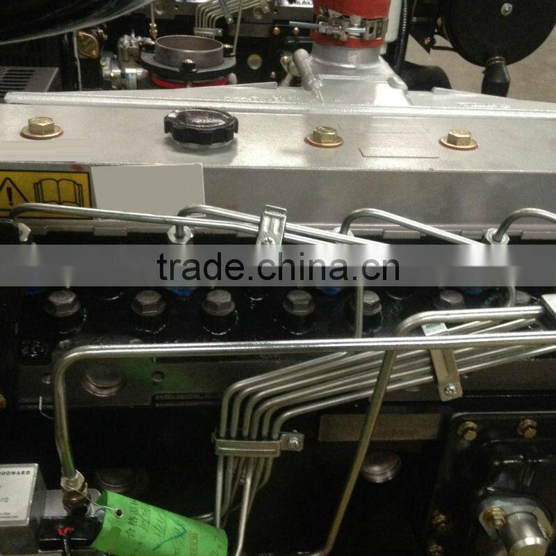 ROTARY PUMP DIESEL GENSET ENGINE 1006TAG