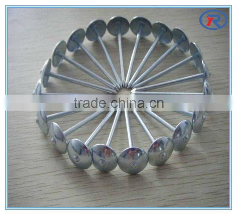 Umbrella head roofing nails and construction nails