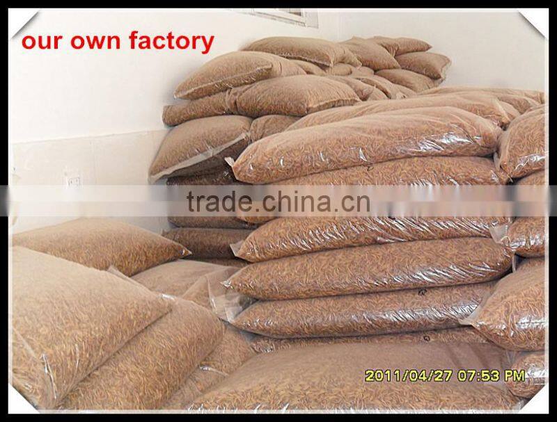 microwave dried mealworm in transparant bag