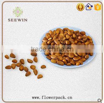 cheap environmental round plastic dinner plate