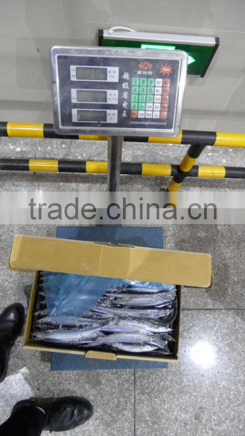 new catching frozen pacific saury 60-80 4# size hot sale