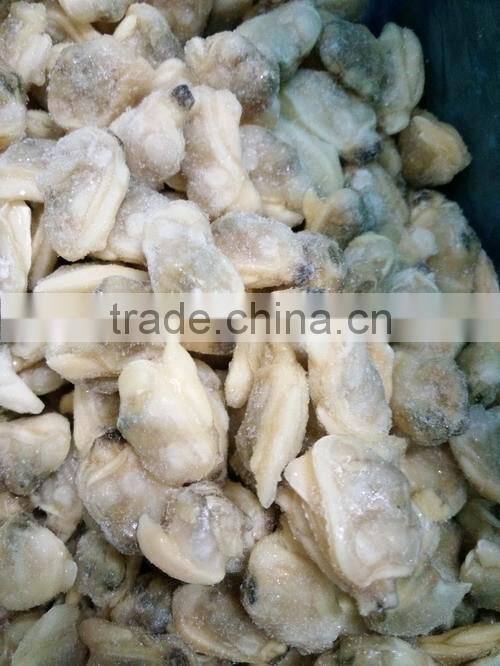 fresh frozen pickling short neck clam meat
