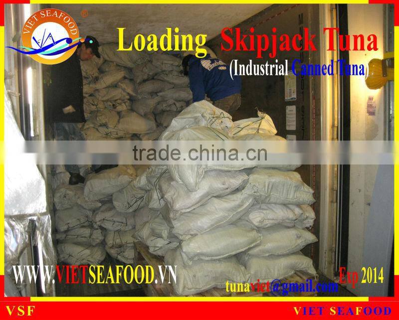 LOADING FROZEN SKIPJACK TUNA