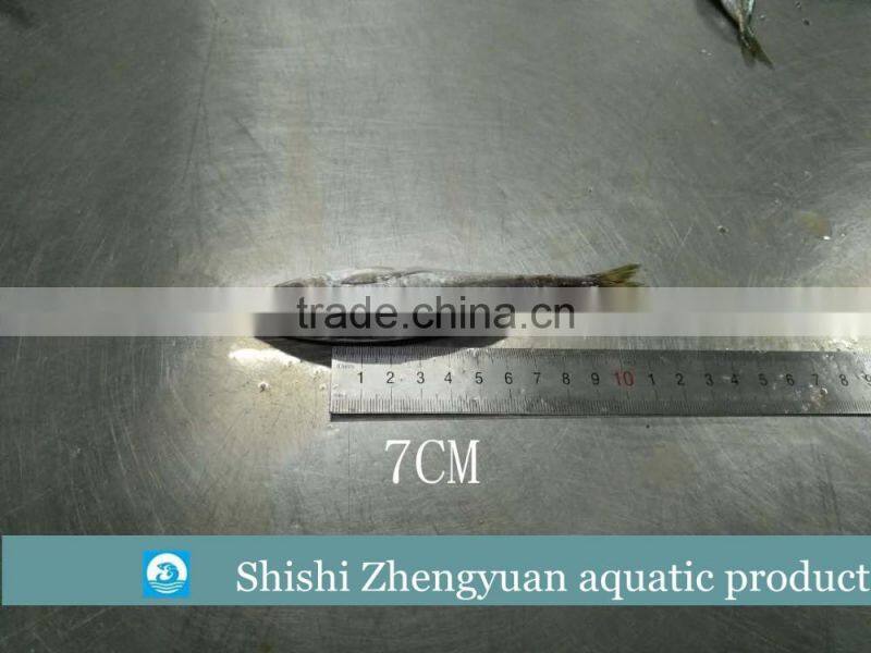 Fresh frozen HGT horse mackerl 6-8cm loose package