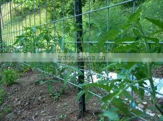 Studdened T-post and Y-post painted 5 feet 1.25lbs on sale china supplier