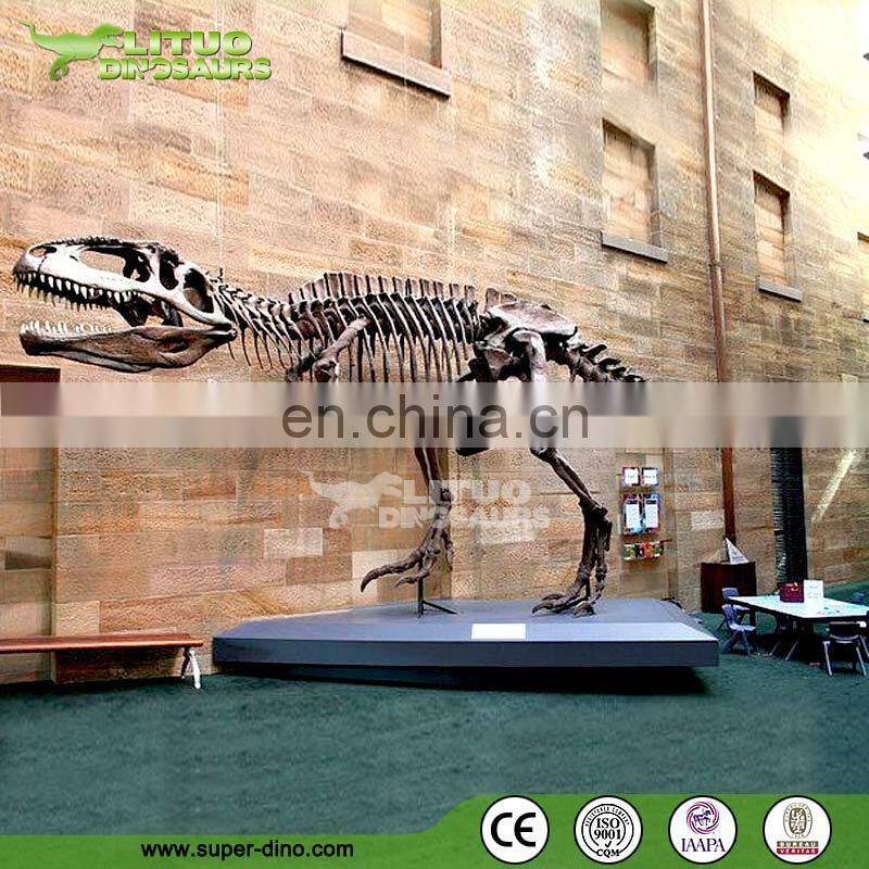 Resin Real Size Dinosaur Fossil