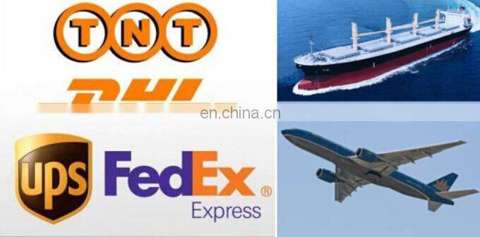 Inflatable large entrance tunnel, inflatable mascot tunnel with bear shape