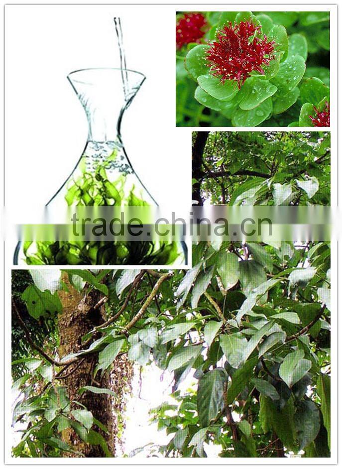 Vacuum Liquid Continuous Dryer For plant extract