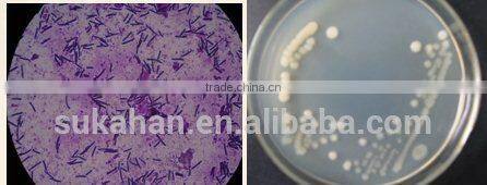 Biological Composting Agent for Making Fertilizer