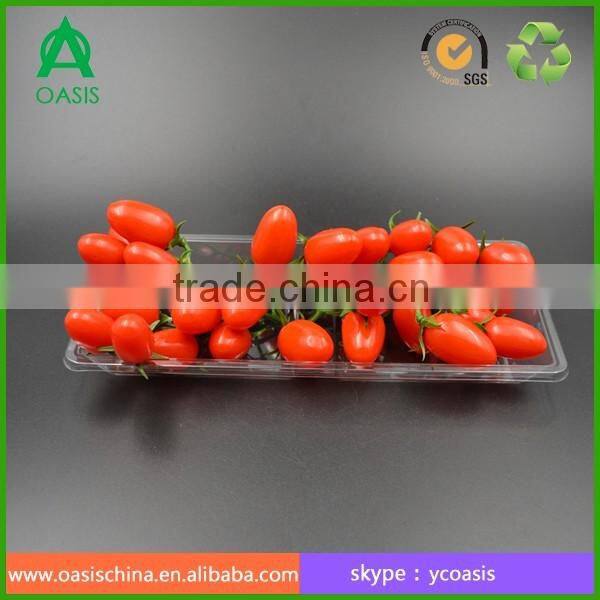 Disposable PET Plastic Food Tray