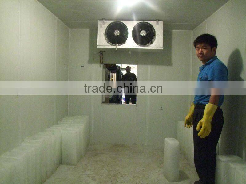 Commercial quick freezing containerized block ice machine for sale