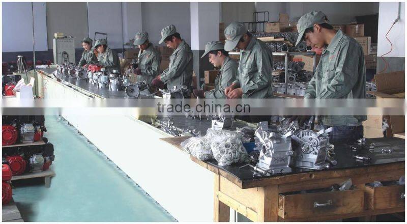 110V 220V 230V Single Phase AC Synchronous Generator