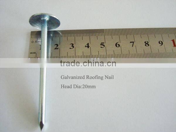 galvanied corrugated roofing nails factory