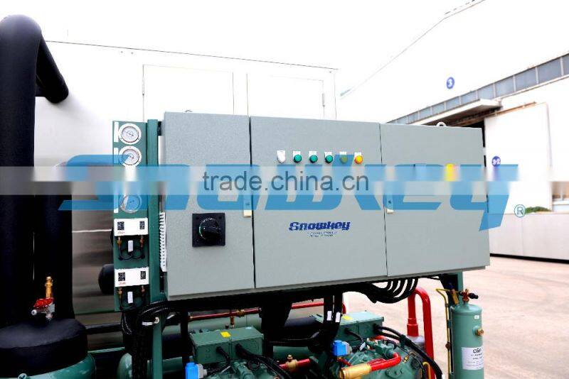 CHINA TOP1 industrial Ice Machine For Sale 8 Tons Plate Ice Machine Ice Maker Price In Austrial