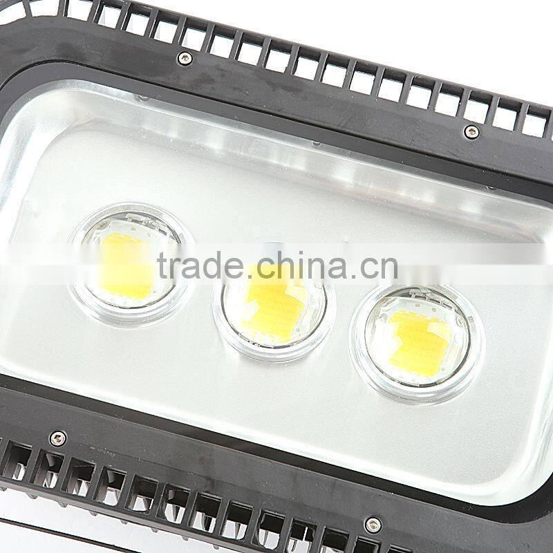 bridgelux 150w high power led torch light with CE Rohs