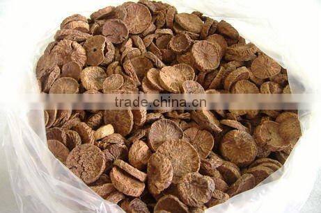 VIETNAM SPLIT BETEL NUT/ SLICE BETEL NUT FOR SALES / WHOLE NUT CROP 2015