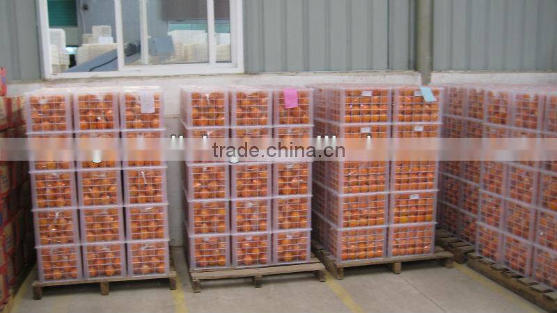 2012 best price navel orange
