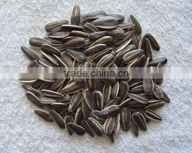 2015 chinese sunflower seed hot sale