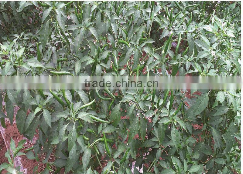 Tranlin Water-soluble fulvic acid fertilizer