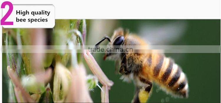 BaiChun Fresh Exine-detached Tea Bee Pollen