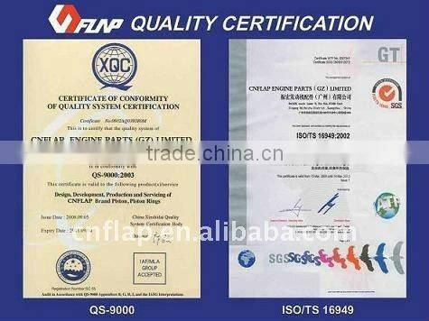 Npr piston ring Japan for S6D95-5