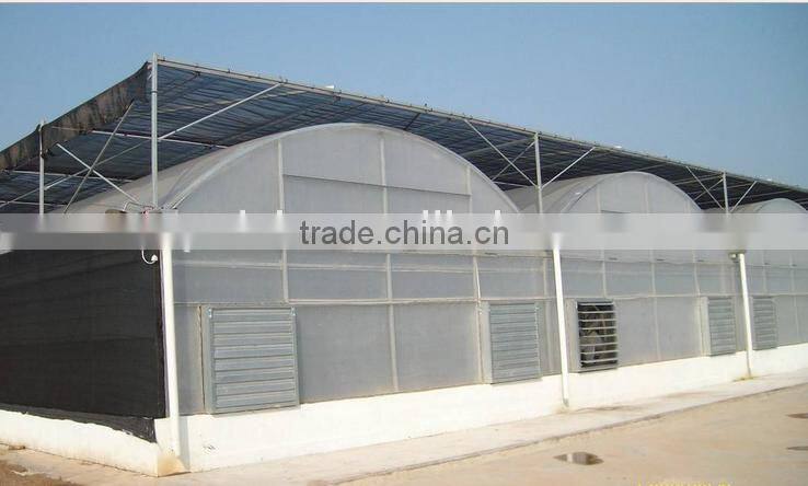 Large size film cover material agricultural greenhouses for sale