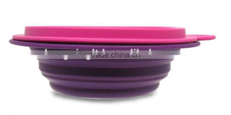 Collapsible Silicone Food Container