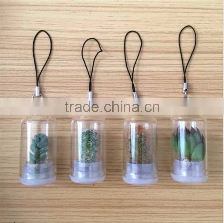 Wholesale Factory Cheap Glass Potted Meaty Cactus Plant Keychain, Super Mini Personal Gift Decorative Keychain Plant Design