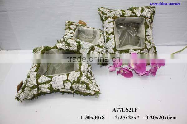 moss cushions with flower pot