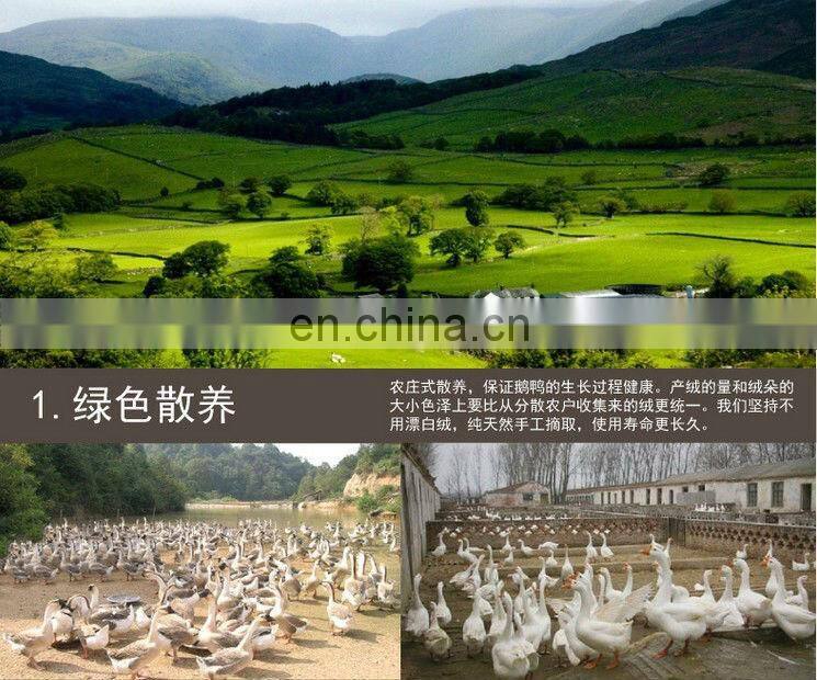 2-4cm Washed White Duck Down Feather