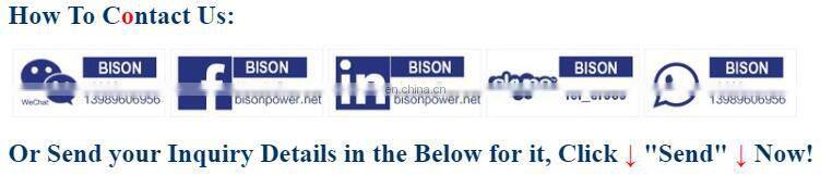 BS7500J(H) BISON China Taizhou Easy Move low noise powerful and durable 4 stroke engine 6KW generator portable