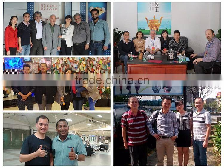 Made in China Water Saving Sensor Operated Flushometer